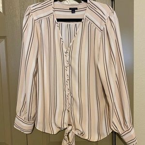Ann Taylor Pale Pink Blouse